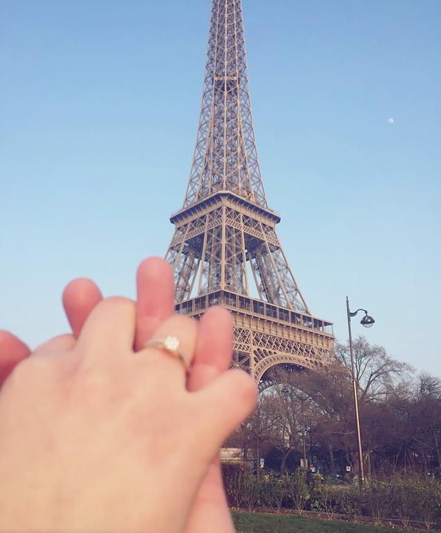 Eiffel Tower Champs De Mars Lägenhet Paris Exteriör bild
